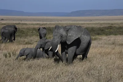 DSC_3900 (Large).JPG